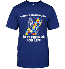 Load image into Gallery viewer, Autism gramma &amp; granddaughter best friends for life shirt