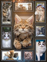 Load image into Gallery viewer, cute cat pet lover quilt blanket
